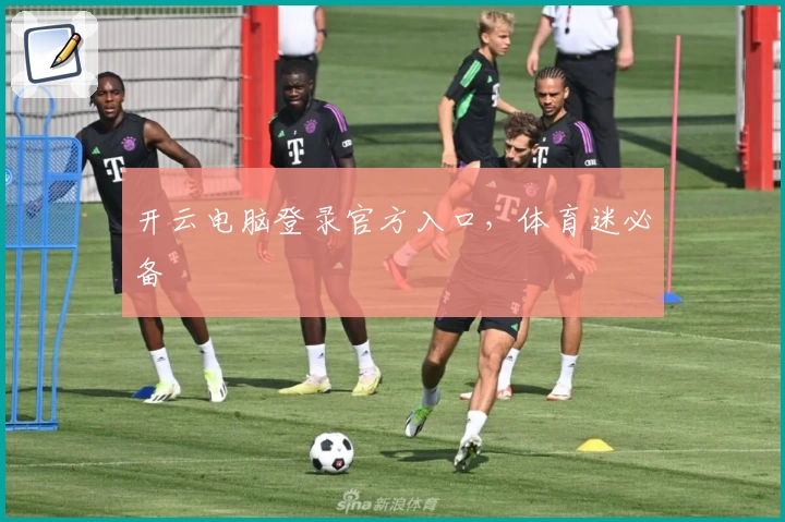 开云电脑登录官方入口，体育迷必备