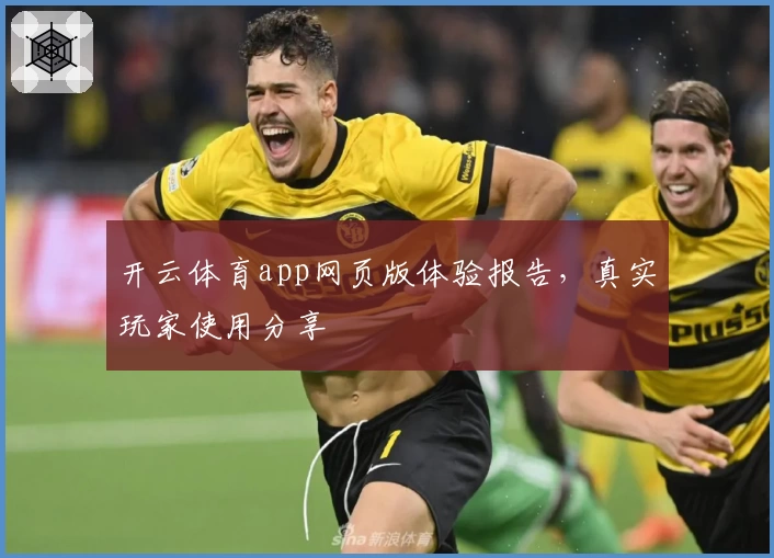 开云体育app网页版体验报告，真实玩家使用分享