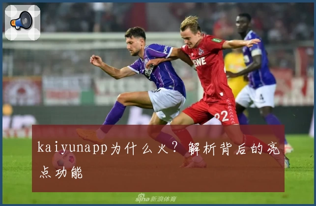 kaiyunapp为什么火？解析背后的亮点功能